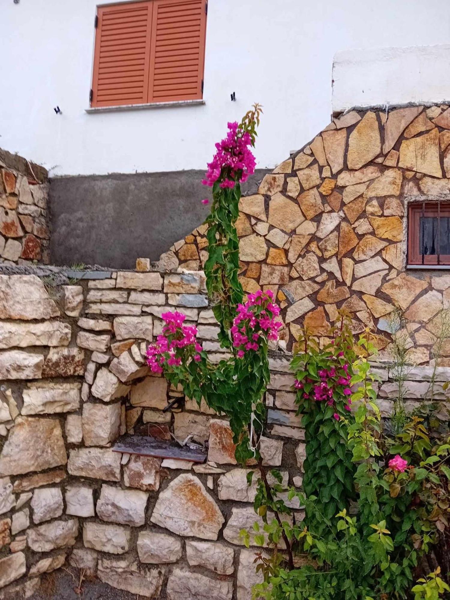 Villa Romario Berat Dış mekan fotoğraf